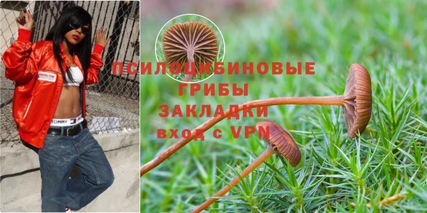 ПСИЛОЦИБИНОВЫЕ ГРИБЫ Армянск