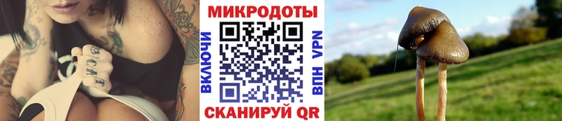 Купить закладки Завитинск Галлюциногенные грибы мухоморы
